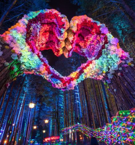 Electric Forest Illuminates Rothbury During 2019 Production | The Nocturnal Times Forest Festival, Electric Forest Festival, Electric Forest, Month Of June, Psy Art, Bass Music, Casino Sites, Stage Design, Land Art