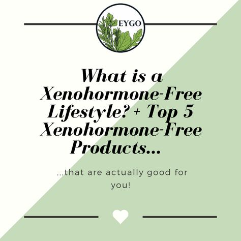 Step up your game with the non-toxic living component to balance hormones naturally. Here are my Top 5 Products to achieve this!  #xenohormones #hormoneimbalance #womenshealth #healthybeauty #nontoxicbeauty  #selfcare #loveyourbody #healthyliving #naturalbeauty #naturalbeautyproducts #cleanliving #chemicalfreebeauty  #parabenfreebeauty #organicbeauty #naturalskincare #greenbeauty #skincare List Of Xenoestrogens, Xenoestrogens Free Products, Estrogen Dominance Symptoms, Endocrine Disorders, Too Much Estrogen, Acne Free Skin, Balance Hormones Naturally, Endocrine Disruptors, Balance Hormones