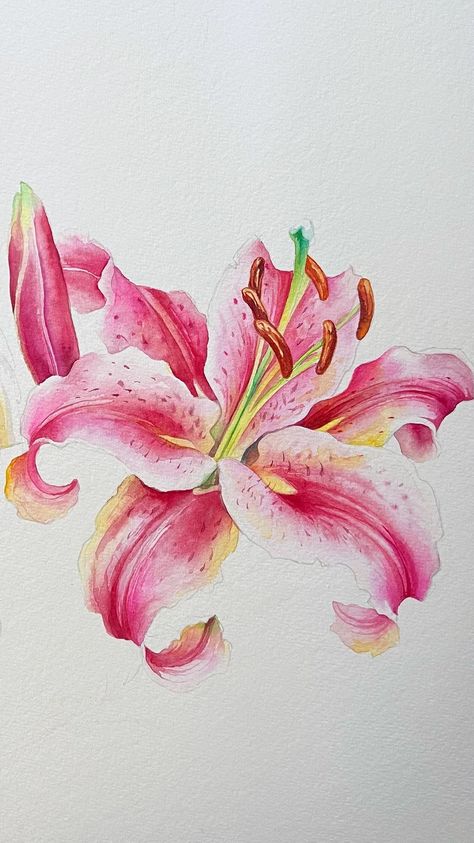 anna.m.bucciarelli on Instagram: My PATREON subscribers asked for some stargazer lilies so I am adding them to the parrot - for June tutorial series I think 😊… Lilly Watercolor Painting, Watercolor Lilies Tutorial, Lilly Painting Watercolors, Anna Bucciarelli, Anna Bucciarelli Watercolor, Stargazer Lily Watercolor Paintings, Stargazer Lily, Watercolor Tutorials, Watercolor Painting Techniques