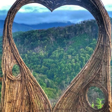 Heart-shaped Twig Photo Op in Anakeesta Gatlinburg, TN Anakeesta Gatlinburg, Tennessee Family Vacation, Travel Tennessee, Gatlinburg Tennessee Vacation, Tennessee Road Trip, Smokey Mountains Vacation, Adventure Mom, Smoky Mountains Tennessee, Vacay Ideas