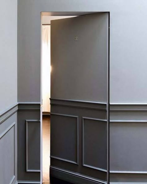 Top 50 Best Hidden Door Ideas - Secret Room Entrance Designs Dold Dörr, Secret Room Doors, Skjulte Rum, Hidden Doors In Walls, Hidden Closet, Invisible Doors, Phone Things, Hidden Spaces, Making Decisions