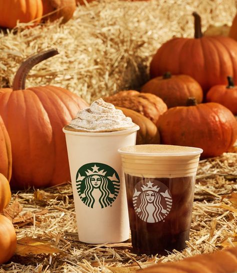 Fall Starbucks, Starbucks Fall Drinks, Best Starbucks Drinks, Caramel Apple Spice, Starbucks Pumpkin Spice Latte, Carla Hall, Starbucks Pumpkin Spice, Pumpkin Cream Cheese Muffins, Fall Menu