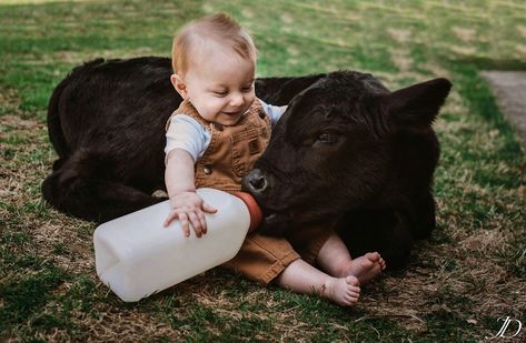 Country Baby Pictures, One Year Pictures, 1st Birthday Photoshoot, Photography Mini Sessions, Farm Kids, Cow Pictures, Country Kids, Bebe Baby