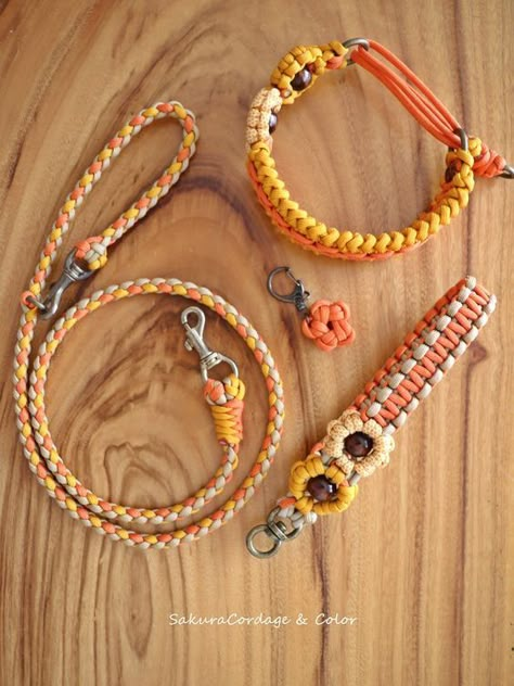 Paracord Dog Accessories, Paracord Dog Leash Diy, Macrame Dog Collar Diy, Paracord Dog Collar Diy, Dog Poop Bag Holder Diy, Cat Collars Diy, Dog Collar Diy Tutorials, Paracord Dog Collar, Paracord Projects Diy