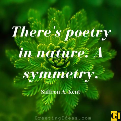 Symmetry Quotes Images Greeting Ideas 1 Symmetry Quotes, Greeting Ideas, Crooked Nose, Flower Structure, Physicists, Quotes Images, Human Face, Love Reading, Image Quotes