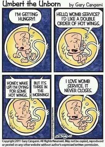 Womb service to the rescue! We love this pregnancy humor! Pregnancy Memes, Baby Pregnancy, Pregnancy Quotes, Pregnancy Humor, E Card, Bones Funny, I Laughed, Just In Case, Funny Quotes