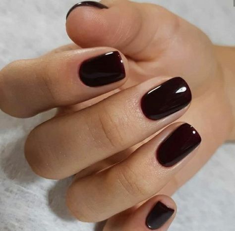 Short Winter Gel Nails, Dip Powder Nails Winter, Short Dark Nails, Dark Gel Nails, Short Classy Nails, Old Money Nails, Sophisticated Nails, Money Nails, Natural Nails Manicure