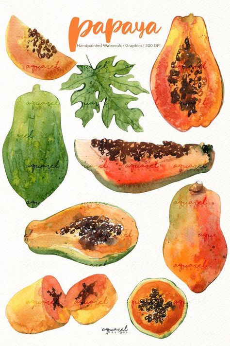 #HomeJamsandJelliesMadeEasy Fruits Summer, Fruit Watercolor, Fruit Clipart, Watercolor Food, Summer Clipart, Watercolor Fruit, Food Clips, Fruit Illustration, Exotic Fruit