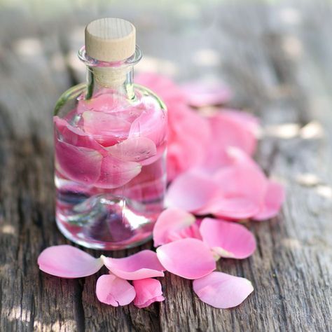 Rose Water vial Rose Water Benefits, Rose Water Toner, Aloe Leaf, Facial Toner, Unwanted Hair, Rose Water, Skin So Soft, Potpourri, Rose Petals