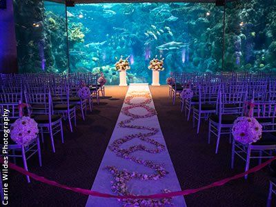 Tampa Wedding Venues, Florida Aquarium, Tampa Wedding Venue, Aquarium Wedding, Sea Wedding, Ocean Wedding, Yosemite Wedding, Cinderella Wedding, Florida Wedding Venues