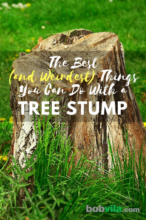 Tree Stumps Diy, Tree Stump Decor, Stump Planter, Stump Ideas, Tree Stump Planter, Landscaping Around Trees, Wood Stumps, Tree Stumps, Bob Vila