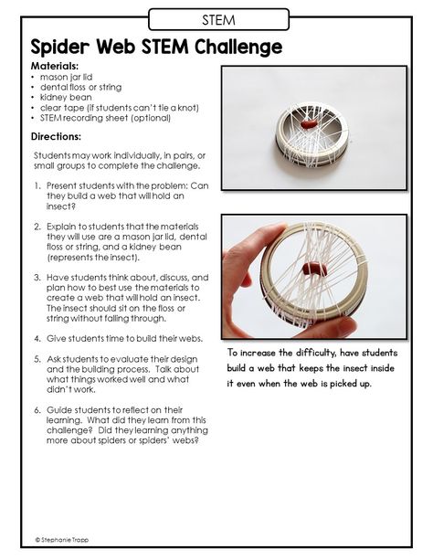 Charlotte's Web Craft, Spider Unit Study, Spider Lessons, Charlottes Web Activities, Spider Unit, Spider Activities, Elementary Stem Activities, Web Activity, E B White