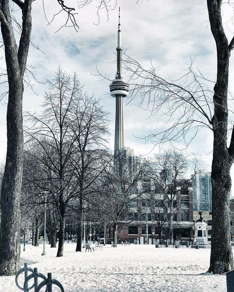 Toronto Snow, Toronto Pictures, Hd Pic, Immigration Canada, Canada Photography, Neverending Story, Toronto City, Toronto Travel, Downtown Toronto