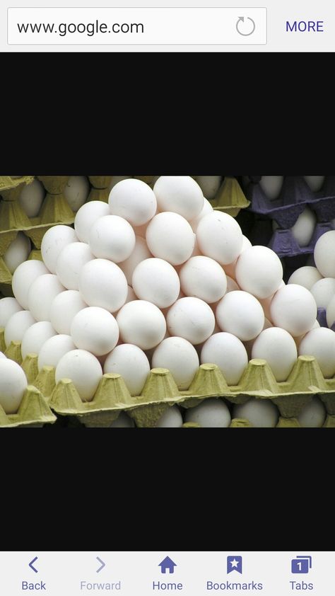 Selling Eggs, Storing Eggs, Egg Benefits, Types Of Eggs, Egg Packaging, Laying Hens, Egg Production, Backyard Poultry, Eating Eggs