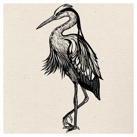 Engraving/ гравюра Etching Style Illustration, Black And White Animal Tattoos, Linocut Style Tattoo, Engraver Tattoo, Heron Tattoo Traditional, Heron Tattoo Design, Animal Tattoos Ideas, Herron Tattoo, Wood Cut Tattoo