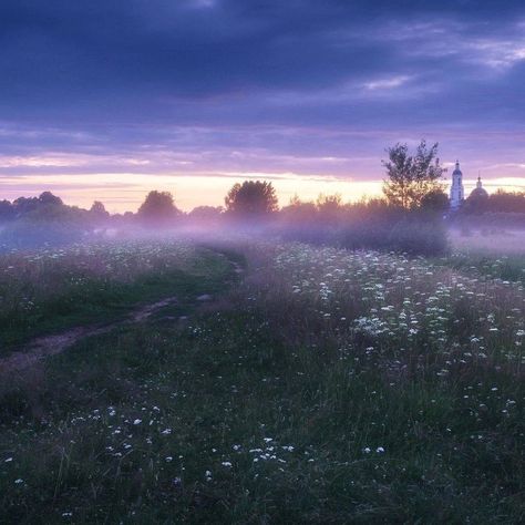 Heavenly Landscape, Fog Aesthetic, Dawn Aesthetic, Pretty Landscapes, Purple Aesthetic, Nature Aesthetic, Pretty Places, Sky Aesthetic, Green Aesthetic