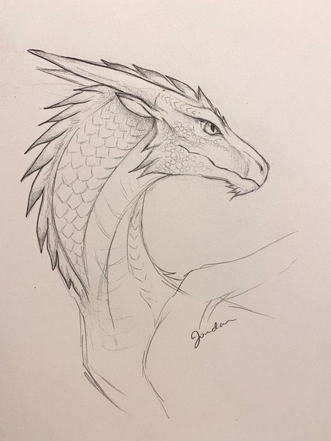 Easy Dragon Head Drawings, Dragon Drawing Side View, Animal Side Profile Drawing, Dragon Face Sketch, Dragon Head Side View, Dragon Side Profile, Dragon Face Drawing, Dragon Side View, Dragon Head Art