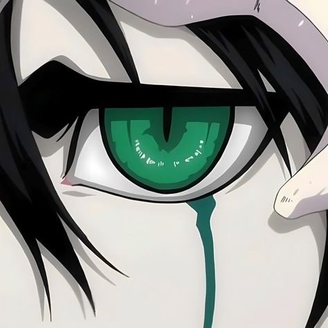 Ulquiorra Schiffer, Ulquiorra Cifer, Byakuya Kuchiki, Sun Projects, Kurosaki Ichigo, Bleach Fanart, Dog Icon, Bleach Art, Bleach Manga