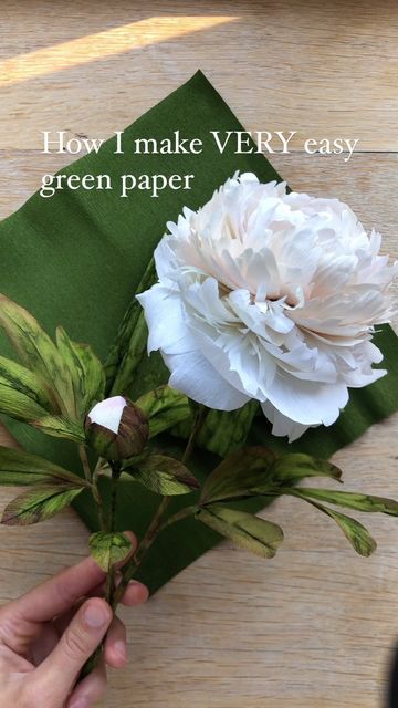 Rolled Fabric Flowers, Paper Peonies Tutorial, Peony Tutorial, Crepe Paper Flowers Tutorial, Paper Peony, Rolled Paper Flowers, Flowers Easy, Paper Flower Art, Paper Peonies