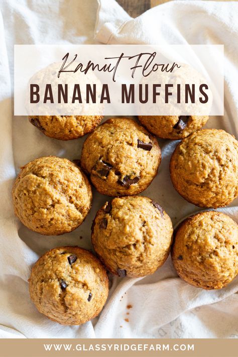 Made with Kamut Flour, these buttery banana muffins are a delicious way to incorporate ancient grains into your breakfast routine! Whole Grain Banana Muffins, Fresh Milled Banana Muffins, Kamut Flour Muffins, Kamut Bread Recipes, Kamut Flour Recipes, Kamut Muffins, Fresh Milled Muffins, Fresh Milled Flour Muffins, Kamut Recipes