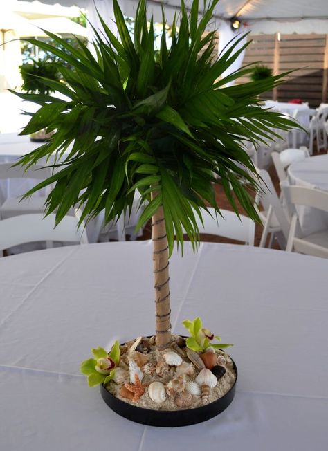 miniature palms for centerpieces | Miniature palm tree centerpiece for beach theme party Cabana Party, Beach Theme Centerpieces, Hawaii Decorations, Miniature Palm Trees, Luau Ideas, Beach Theme Party, Tropical Neon, Beach Centerpieces, Tree Centerpiece