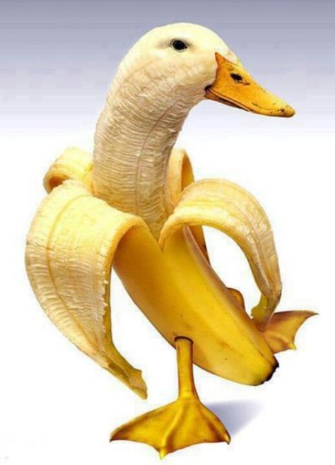 Banana Duck Banana Picture, Banana Funny, Trendy Food, Food Art For Kids, Funny Fruit, Fruit Picture, Banana Art, Creative Food Art, A Banana