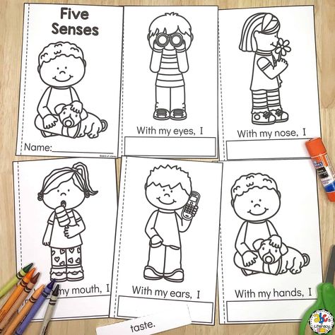 Five Senses Preschool Books Images, Photos | Mungfali Senses Books For Preschool, Five Senses Kindergarten, 5 Senses Craft, Preschool Sorting, 5 Senses Preschool, Five Senses Preschool, Play To Learn Preschool, 5 Senses Activities, Books For Beginning Readers