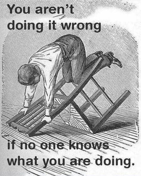 You aren't doing it wrong if no one knows what you are doing. Senior Quotes, Morning Humor, Mood Pics, Make Me Smile, Really Funny, A Man, Words Of Wisdom, Funny Jokes, Funny Pictures