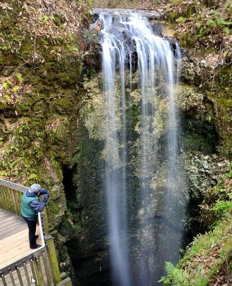 Falling Waters State Park  #vacation #destinations #thingstodo #placestogo #travel #unusual #beautiful Florida Vacation Spots, Falling Waters, Florida Adventures, Florida State Parks, Florida Springs, Places In Florida, Caribbean Culture, Florida Living, Visit Florida