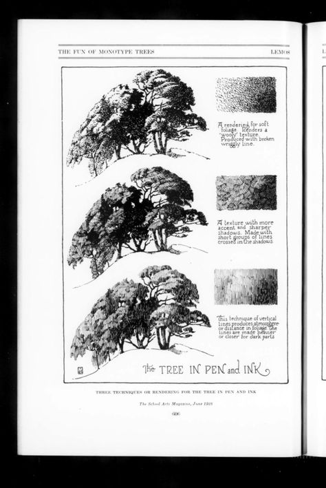 The School Arts Magazine 1928-06: Vol 27 Iss 10 : Free Download, Borrow, and Streaming : Internet Archive Pen Skills, Ink Drawing Techniques, Botanical Drawing, Arts Magazine, Cross Hatching, Tinta China, Nature Drawing, Page Number, Art Instructions