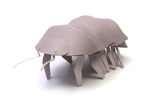 Pill Bugs, Pill Bug, Insect Crafts, Paper Architecture, Roly Poly, Homeschool Art, Adobe Portfolio, Bugs And Insects, Design Jobs