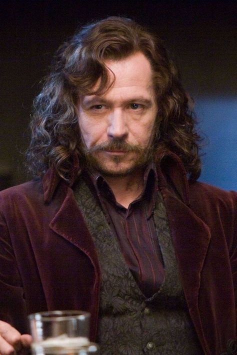 Sirius Black Gary Oldman, Harry Potter Sirius, Harry Potter Wall, Buku Harry Potter, Viggo Mortensen, Images Harry Potter, Harry Potter Tumblr, Harry Potter Pictures, Jude Law