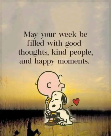 Charlie Brown Quotes, Special Friend Quotes, Happy Day Quotes, Funny Day Quotes, Thinking Of You Quotes, Hug Quotes, Snoopy Funny, Charles Schulz, Sunshine Quotes