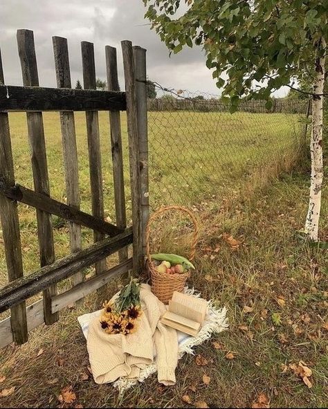 Anne Shirley Aesthetic, Shirley Aesthetic, Autumn Ambience, Hygge Autumn, Countryside Life, Stick Season, Green Academia, Brighter Days, Anne Shirley