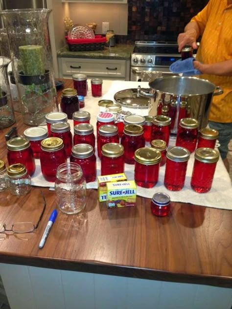 3 Generations of Southern Recipes: May I have a little Mayhaw Jelly Please Mayhaw Jelly Recipe, Mayhaw Jelly, Prickly Pear Jelly, Pear Jelly, Peach Jelly, Pressure Canning Recipes, Homemade Jelly, Jelly Recipe, Canned Food Storage