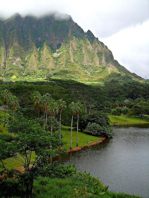 Hoolaluhia Botanical Garden in Kaneohe, Oahu - Hawaii | USA. My view everyday while I lived on the windward side........ Oahu Vacation, Hawaii Honeymoon, Hawaiian Vacation, Hawaii Usa, Turtle Beach, Hawaii Life, Aloha Hawaii, Pearl Harbor, Hawaii Island