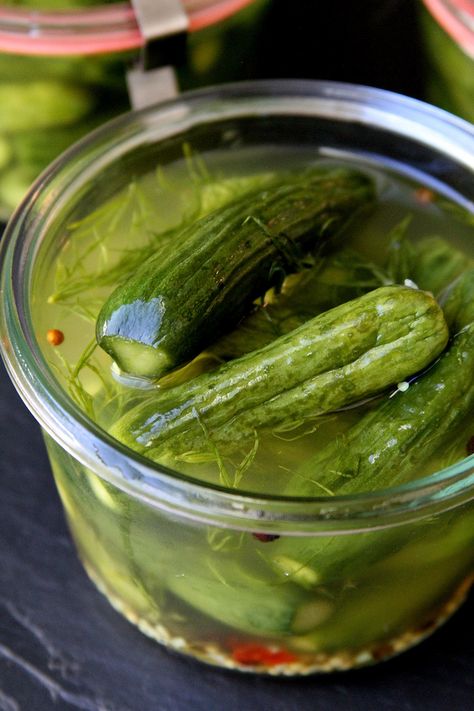 Baby Dill Refrigerator Gherkins (Cornichon) – A Cup of Sugar … A Pinch of Salt Baby Dill Pickle Recipe, Gherkins Pickles Recipes, Refrigerator Pickles Dill, Refrigerator Pickle Recipes, Farm Recipes, Dill Pickle Recipe, Lunch Sides, Refrigerator Pickles, Vegetables Recipes