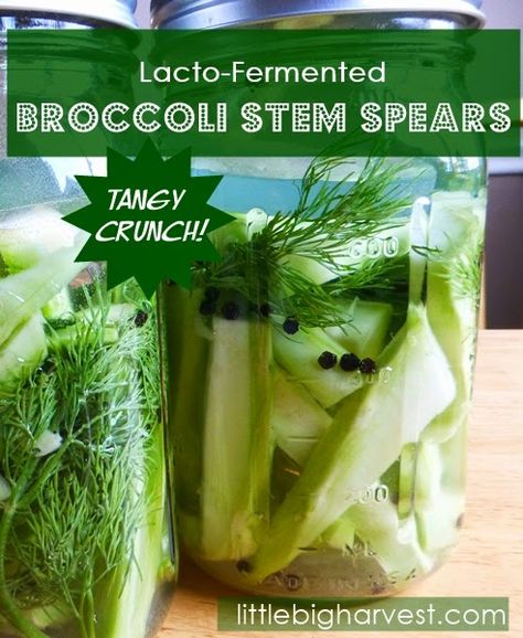 Don't throw away the stems from your broccoli, pickle them! Fermented Broccoli, Fermented Recipes, Bog Witch, Lacto Fermentation, Lacto Fermented, Lowering Cholesterol, Fermented Veggies, Fermented Pickles, Broccoli Stems