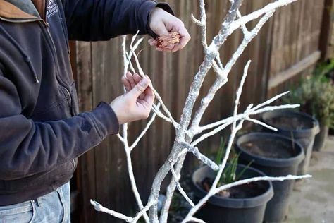 Many of us wish we could have outdoor lights glowing year-round; sadly, knotted electric cords and high energy bills hold us back. Thankfully, technology has advanced. Today, I’d like to share how I made a DIY fairy light tree with Starbright’s solar-powered string lights that could stay on year-round. Having solar-powered lights eliminates the need for long electric cords. This project was sponsored by Starbright.This 5-foot fairy light tree is the perfect size to stand on your covere… Fairy Light Tree, Lighted Tree Branches, Mason Jar Fairy Lights, Diy Wall Planter, Fairy Lights In Trees, Solar Lights Diy, Twig Lights, Light Tree, Lighted Branches