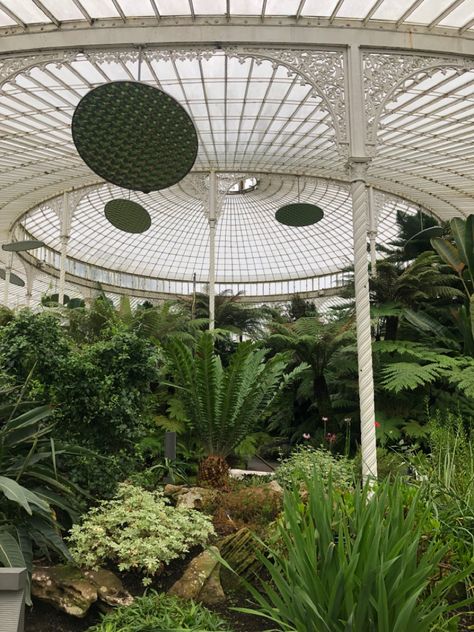 Botanic Garden Aesthetic, Glasgow Aesthetic, Green Plants Aesthetic, Autumn Scotland, Glasgow Botanic Gardens, Aesthetic Rain, Glasgow Green, Rain Fall, Plants Aesthetic