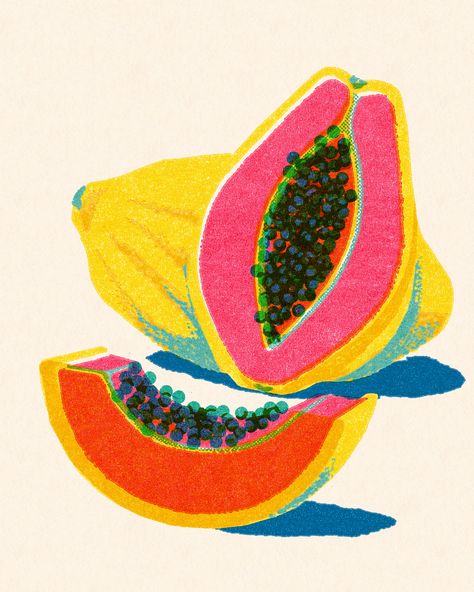 papaya :: Behance Fruit Illustration, Fruit Art, Art Classroom, Food Illustrations, Papaya, Graphic Design Illustration, Interesting Art, Drawing Inspiration, Art Inspo