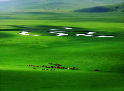 Top 10 Largest Grasslands in The World – Biyoncast's blog Hulunbuir Grassland, Black Soil, Canadian Prairies, Saltwater Crocodile, Types Of Grass, Widescreen Wallpaper, Inner Mongolia, The Grass, Mongolia