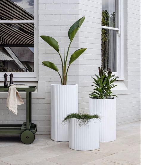 Pot Clusters Outdoor, White Pots For Plants Outdoor, White Rocks Landscaping Ideas, Verandah Styling, Pot Cluster, House Share, Studio Renovation, Large Garden Pots, Boho Kitchen Ideas