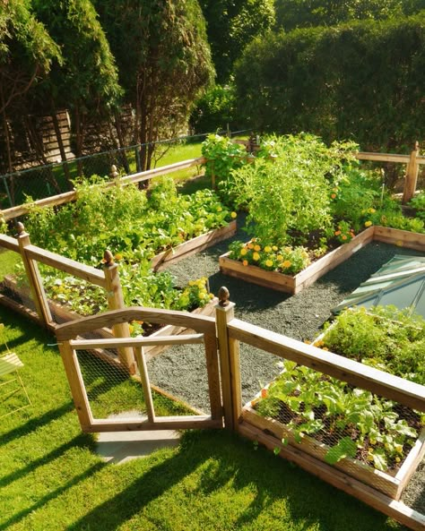 Landscape Vegetable Garden, Vegetable Garden On Side Of House, Strawberry Garden Bed Ideas, Gated Vegetable Garden, Front Garden Vegetable Patch, Backyard Fruit And Vegetable Garden, Home Vegetable Garden Design Backyards, Spring Vegetable Garden Layout, Backyard Garden Layout Landscapes