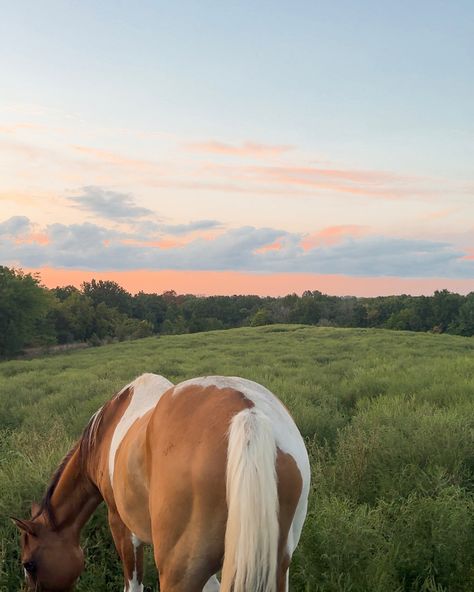 Southern Summer Aesthetic, American Summer Aesthetic, Country Summer Aesthetic, Boat Lifestyle, Shes Like Texas, Summer Cowgirl, Cowgirl Summer, Cowgirl Vibes, Aesthetic Summer Vibes