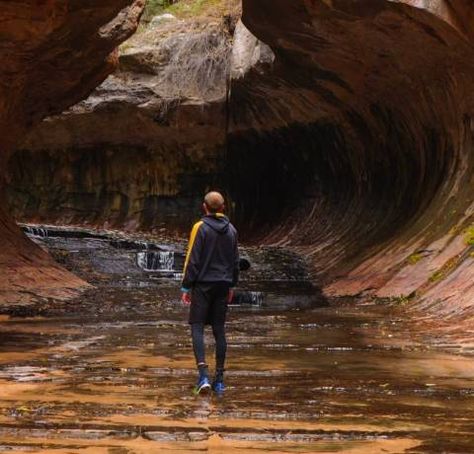 The Subway Hiking Trail in Zion National Park | Utah.com Dinosaur Tracks, The Narrows, Zion National Park Utah, Subway Map, Guest Ranch, Trail Map, Park Trails, Small Waterfall, Trail Maps