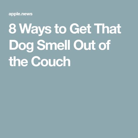 Puke Smell Out Of Couch, Diy Couch Deodorizer Spray, Pet Urine Smell Out Of Couch, How To Get Rid Of Dog Smell On Couch, Smelly Couch Remedy, Pet Smell Out Of Couch, Pet Urine Smell, Dog Odor Eliminator, Dog Hair Cleaning