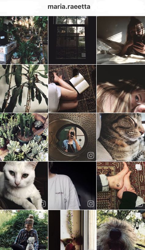 Instagram Layout. #cover #instagram #post Bohemian Instagram Feed, Instagram Influencer Aesthetic Feed, Plant Instagram Feed, Nature Feed Instagram, Witchy Instagram Feed, Hippie Instagram Feed, Instagram Feed Photography, Artsy Instagram Feed, Boho Instagram Theme