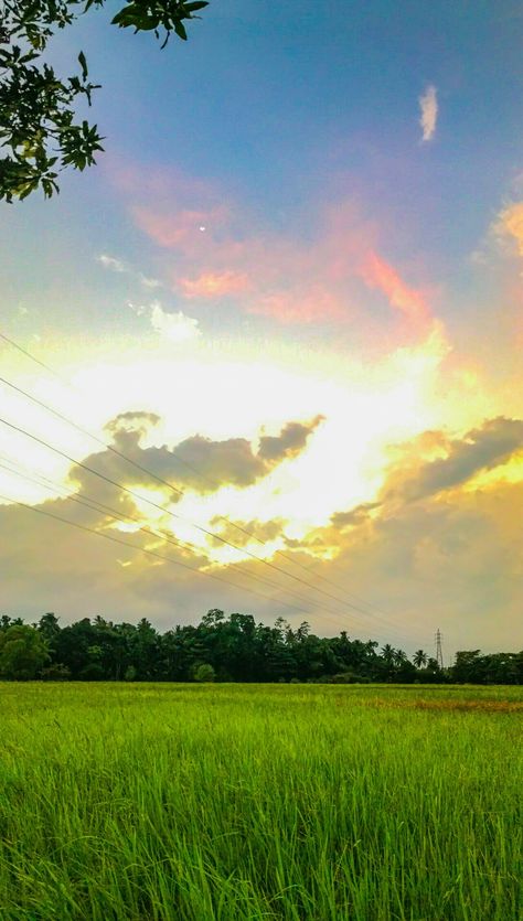 Sundet photography in a paddy field Paddy Field Photography, Evening Photography, Paddy Field, Field Photography, Jogging Track, Baby Photo Editing, Canvas Paint, Simple Photo, Fields Photography