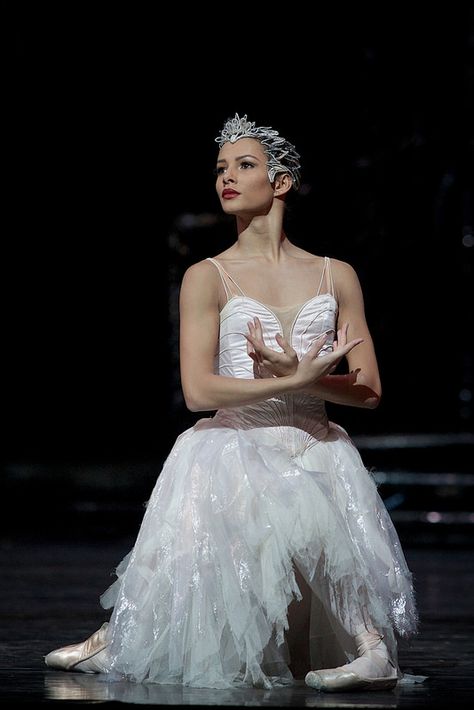 Francesca Hayward as a Swan in Swan Lake, The Royal Ballet © 2015 ROH. Photograph by Alice Pennefather | by Royal Opera House Covent Garden Swan Lake Costumes, Ballet Swan Lake, Francesca Hayward, Swan Lake Ballet, Ballet Images, The Royal Ballet, Ballet Russe, American Ballet Theatre, Ballet Art